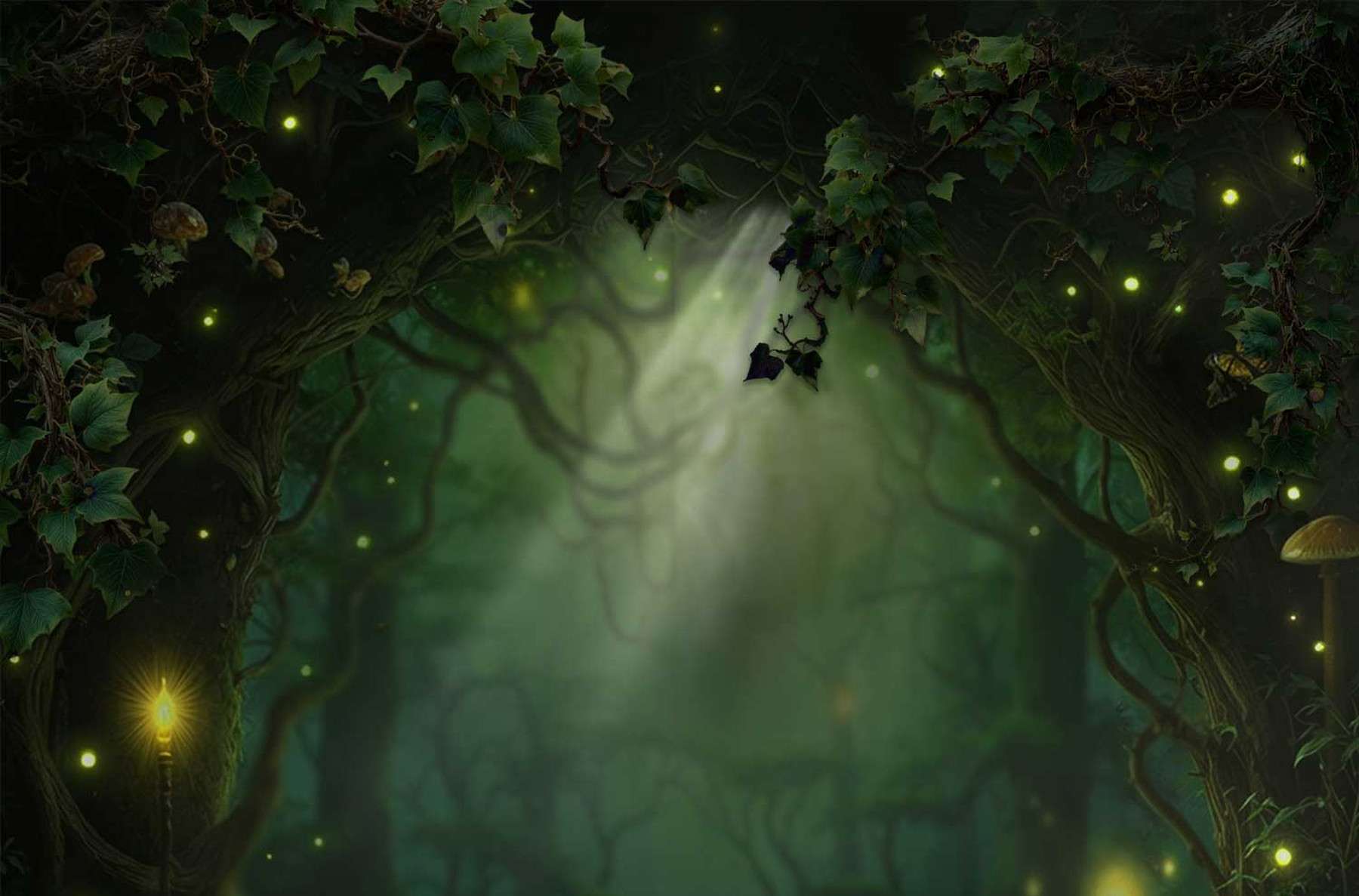 Enchanted Forest artwork: ivy canopy, fireflies and a shaft of light through the trees